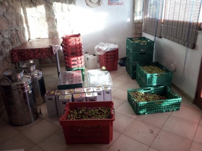 IMG_20171026_083659.jpg (98.88 KiB) Osservato 1258 volte IMG_20171026_083659.jpg