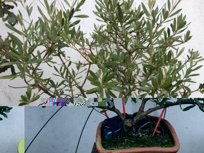 IMG_6838.JPG (177.79 KiB) Osservato 755 volte IMG_6838.JPG