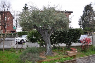 DSC_0744.jpg (153.82 KiB) Osservato 757 volte DSC_0744.jpg