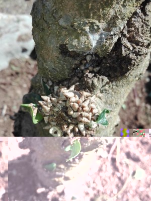 IMG_20180610_165240.jpg (116.94 KiB) Osservato 1862 volte IMG_20180610_165240.jpg