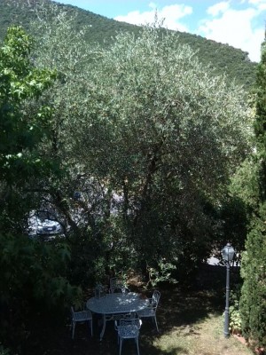 IMG_20180718_152655.jpg (173.34 KiB) Osservato 1052 volte IMG_20180718_152655.jpg