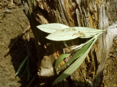 IMG_20190916_142809.jpg (115 KiB) Osservato 638 volte IMG_20190916_142809.jpg