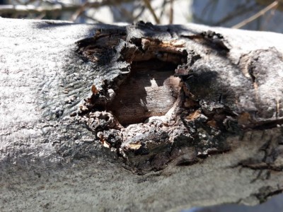 20200211_112800.jpg (146.18 KiB) Osservato 731 volte 20200211_112800.jpg