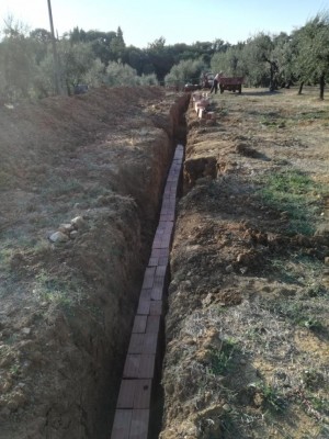 IMG_20190820_184050.jpg (124.52 KiB) Osservato 1420 volte IMG_20190820_184050.jpg