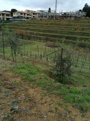 IMG_20200130_114437.jpg (155.04 KiB) Osservato 1420 volte IMG_20200130_114437.jpg