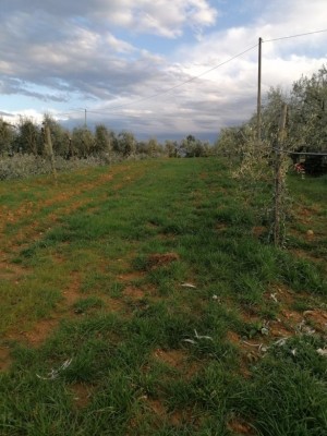 IMG_20200204_161504.jpg (118.66 KiB) Osservato 1420 volte IMG_20200204_161504.jpg