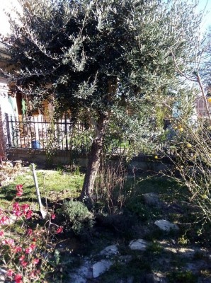 IMG_20200228_154103.jpg (257.24 KiB) Osservato 657 volte IMG_20200228_154103.jpg