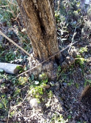 IMG_20200228_154115.jpg (177.08 KiB) Osservato 665 volte IMG_20200228_154115.jpg