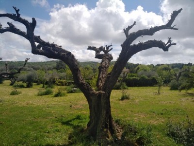 WhatsApp Image 2020-04-29 at 13.13.23 (3).jpeg (112.5 KiB) Osservato 762 volte WhatsApp Image 2020-04-29 at 13.13.23 (3).jpeg