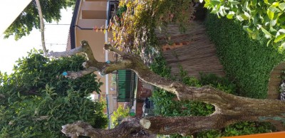 20200623_111119.jpg (128.11 KiB) Osservato 587 volte 20200623_111119.jpg