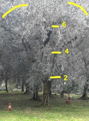 InkedIMG_20210220_163125_LI.JPG (291.34 KiB) Osservato 754 volte InkedIMG_20210220_163125_LI.JPG