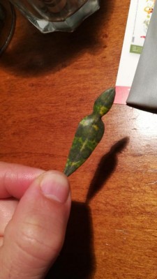 photo6001364434586547793.jpg (61.4 KiB) Osservato 813 volte photo6001364434586547793.jpg