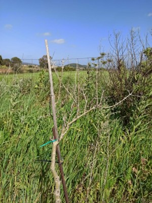 WhatsApp Image 2021-04-14 at 09.27.37 (1).jpeg (178.49 KiB) Osservato 702 volte WhatsApp Image 2021-04-14 at 09.27.37 (1).jpeg