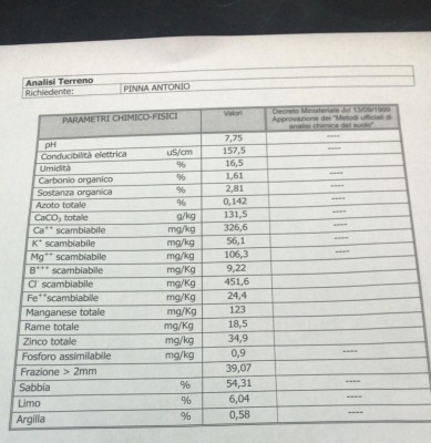 Analisi_Pinna.jpeg (177.85 KiB) Osservato 702 volte Analisi_Pinna.jpeg