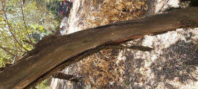 20210830_105130.jpg (121.49 KiB) Osservato 623 volte 20210830_105130.jpg