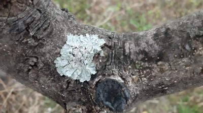 WhatsApp Image 2022-02-19 at 21.53.48.jpeg (95.81 KiB) Osservato 512 volte WhatsApp Image 2022-02-19 at 21.53.48.jpeg