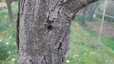 WhatsApp Image 2022-03-23 at 10.53.48(1).jpeg (92.27 KiB) Osservato 764 volte WhatsApp Image 2022-03-23 at 10.53.48(1).jpeg