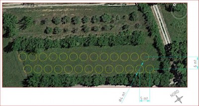 sesto.JPG (88.85 KiB) Osservato 718 volte sesto.JPG