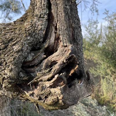 6B726E5E-3873-40D5-92B2-246647FB7351.jpeg (258.73 KiB) Osservato 903 volte 6B726E5E-3873-40D5-92B2-246647FB7351.jpeg