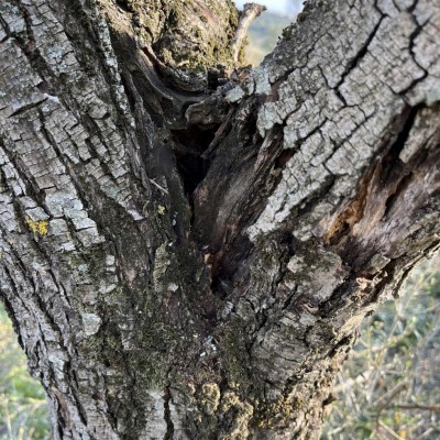 07B9B846-9D39-4301-9A8D-B91B9D234120.jpeg (271.71 KiB) Osservato 903 volte 07B9B846-9D39-4301-9A8D-B91B9D234120.jpeg