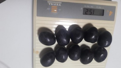 olive (1).jpg (32.3 KiB) Osservato 950 volte olive (1).jpg