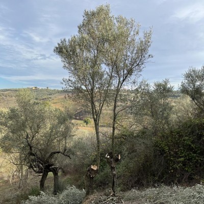 Quale altezza lasciare? / 91D3D235-61FD-4F74-AF18-C60890F92812.jpeg 91D3D235-61FD-4F74-AF18-C60890F92812.jpeg