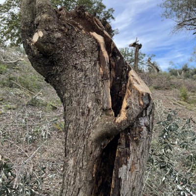 Dettaglio sgrondo / D5F11FAF-C656-4584-B296-3E954BABBE81.jpeg D5F11FAF-C656-4584-B296-3E954BABBE81.jpeg