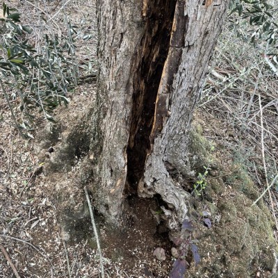 Dettaglio sgrondo 2 / C2A225EF-97B8-4CDE-8965-6A80FB8DB76B.jpeg C2A225EF-97B8-4CDE-8965-6A80FB8DB76B.jpeg