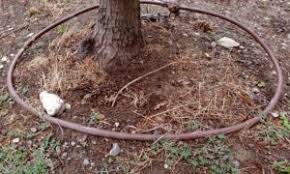 images.jpeg images.jpeg