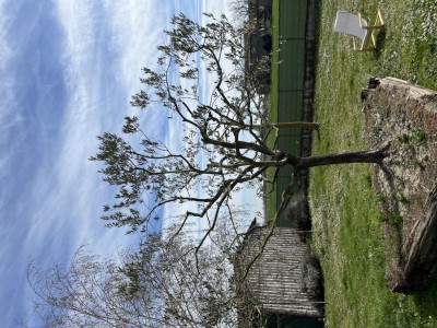 26B5584E-7931-4A1B-81CE-6D2545F530F6.jpeg (203.76 KiB) Osservato 665 volte 26B5584E-7931-4A1B-81CE-6D2545F530F6.jpeg