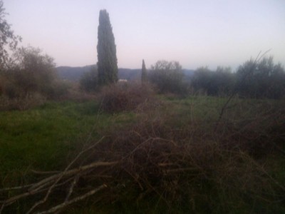 Immagine WhatsApp 2025-02-10 ore 15.03.09_1e0a5caf.jpg (49.31 KiB) Osservato 464 volte Immagine WhatsApp 2025-02-10 ore 15.03.09_1e0a5caf.jpg