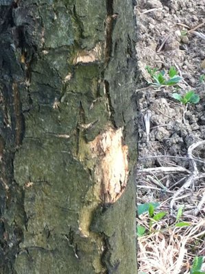 2.jpg (111.28 KiB) Osservato 5700 volte 2.jpg