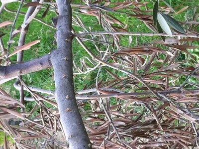 3.jpg (132.92 KiB) Osservato 5760 volte 3.jpg