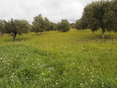 IMMAGINE2.jpg (151.63 KiB) Osservato 3184 volte IMMAGINE2.jpg