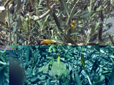 IMG126a.jpg IMG126a.jpg