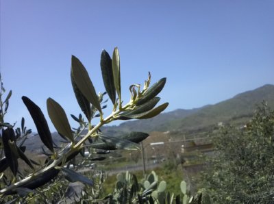 IMG125a.jpg IMG125a.jpg