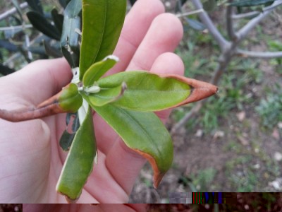 20140114_170341.jpg (117 KiB) Osservato 669 volte 20140114_170341.jpg