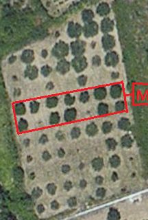 foto / Screenshot 2014-03-02 17.34.32.jpg Screenshot 2014-03-02 17.34.32.jpg