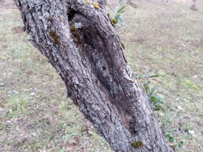 1419689385733-1370448646.jpg (231.72 KiB) Osservato 619 volte 1419689385733-1370448646.jpg