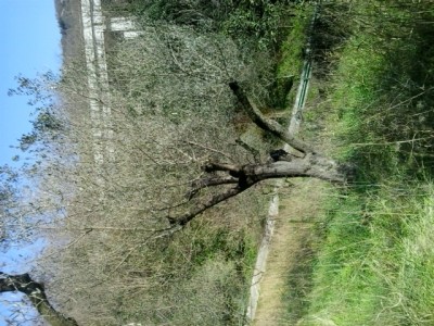 1.jpg (287.02 KiB) Osservato 1618 volte 1.jpg