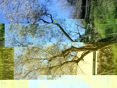 2.jpg (302.99 KiB) Osservato 1744 volte 2.jpg