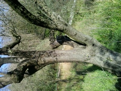 3.jpg (295.51 KiB) Osservato 1744 volte 3.jpg