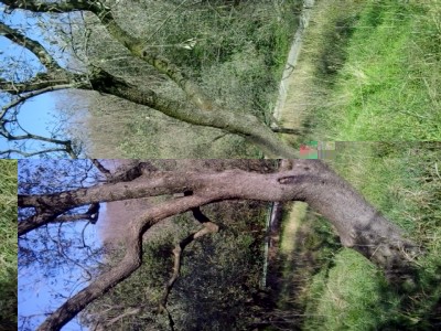 4.jpg (292.34 KiB) Osservato 1744 volte 4.jpg