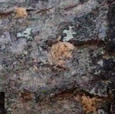 Copia di IMG_8592.jpg (219.19 KiB) Osservato 674 volte Copia di IMG_8592.jpg