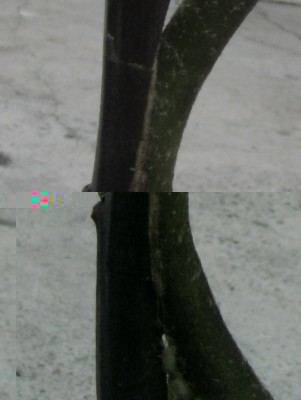 000002.jpg (72.71 KiB) Osservato 1009 volte 000002.jpg