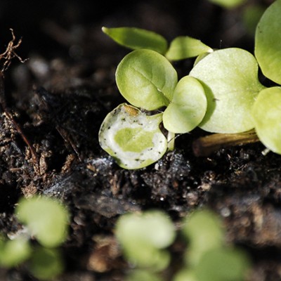 _DSC9429.JPG (196.97 KiB) Osservato 456 volte _DSC9429.JPG