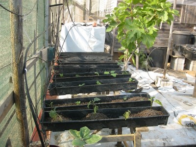 IMG_0001.JPG (276.42 KiB) Osservato 986 volte IMG_0001.JPG