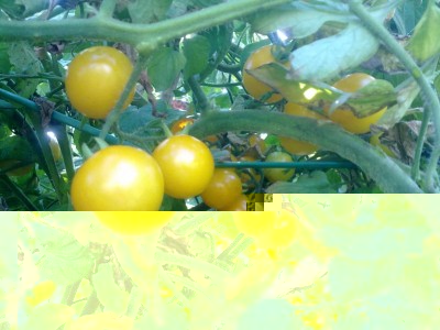 z.jpg (155.63 KiB) Osservato 399 volte z.jpg