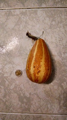 12312162_986570614722780_1344046666_n.jpg (83.72 KiB) Osservato 544 volte 12312162_986570614722780_1344046666_n.jpg