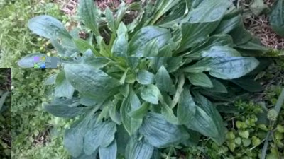 WP_20160123_001 (FILEminimizer).jpg (23.6 KiB) Osservato 705 volte WP_20160123_001 (FILEminimizer).jpg